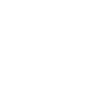 Search Globe Icon